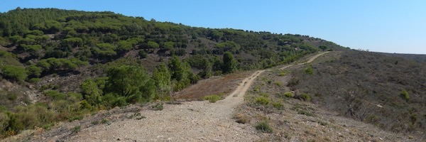 DSCN0912
