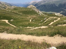 IMG_1841.jpg